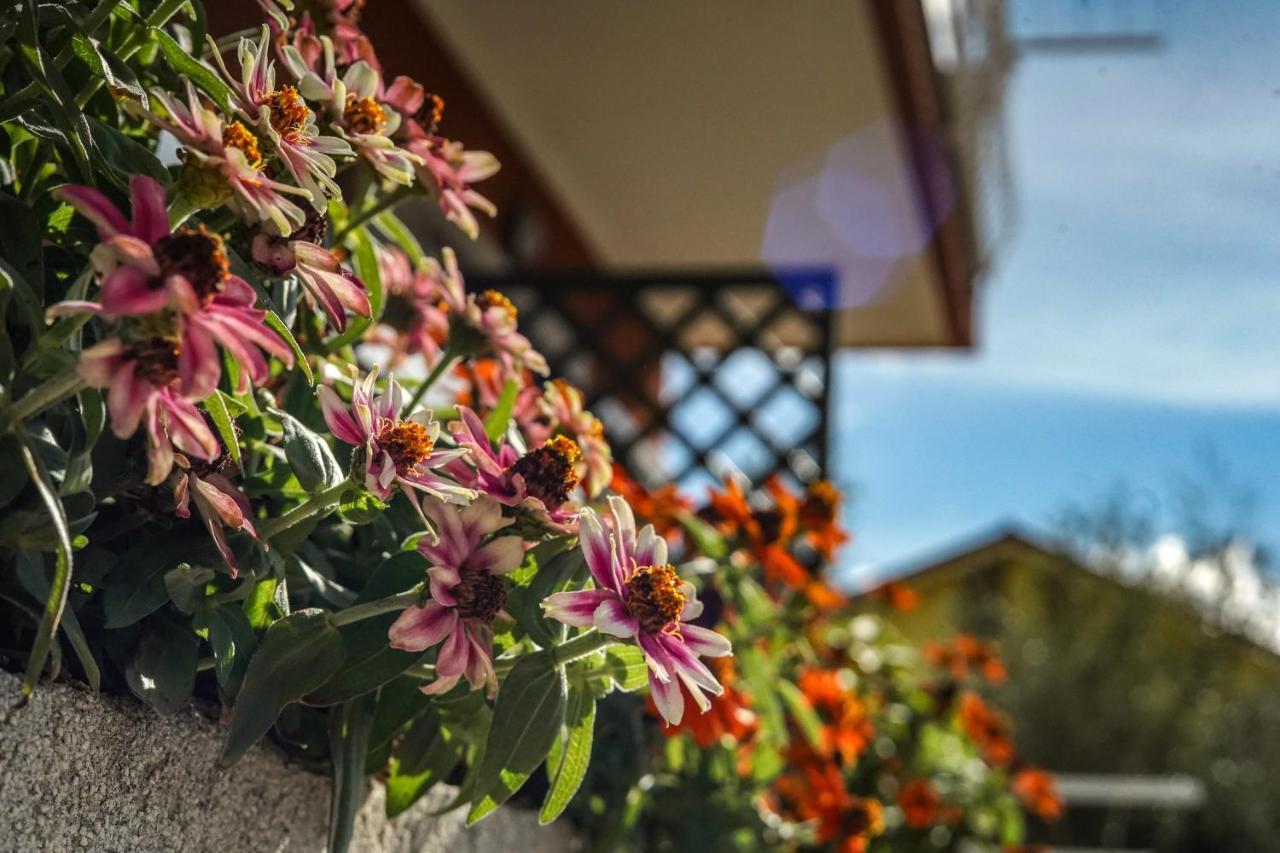 Agriturismo La Rocca Сан-Бартоломео-аль-Маре Экстерьер фото