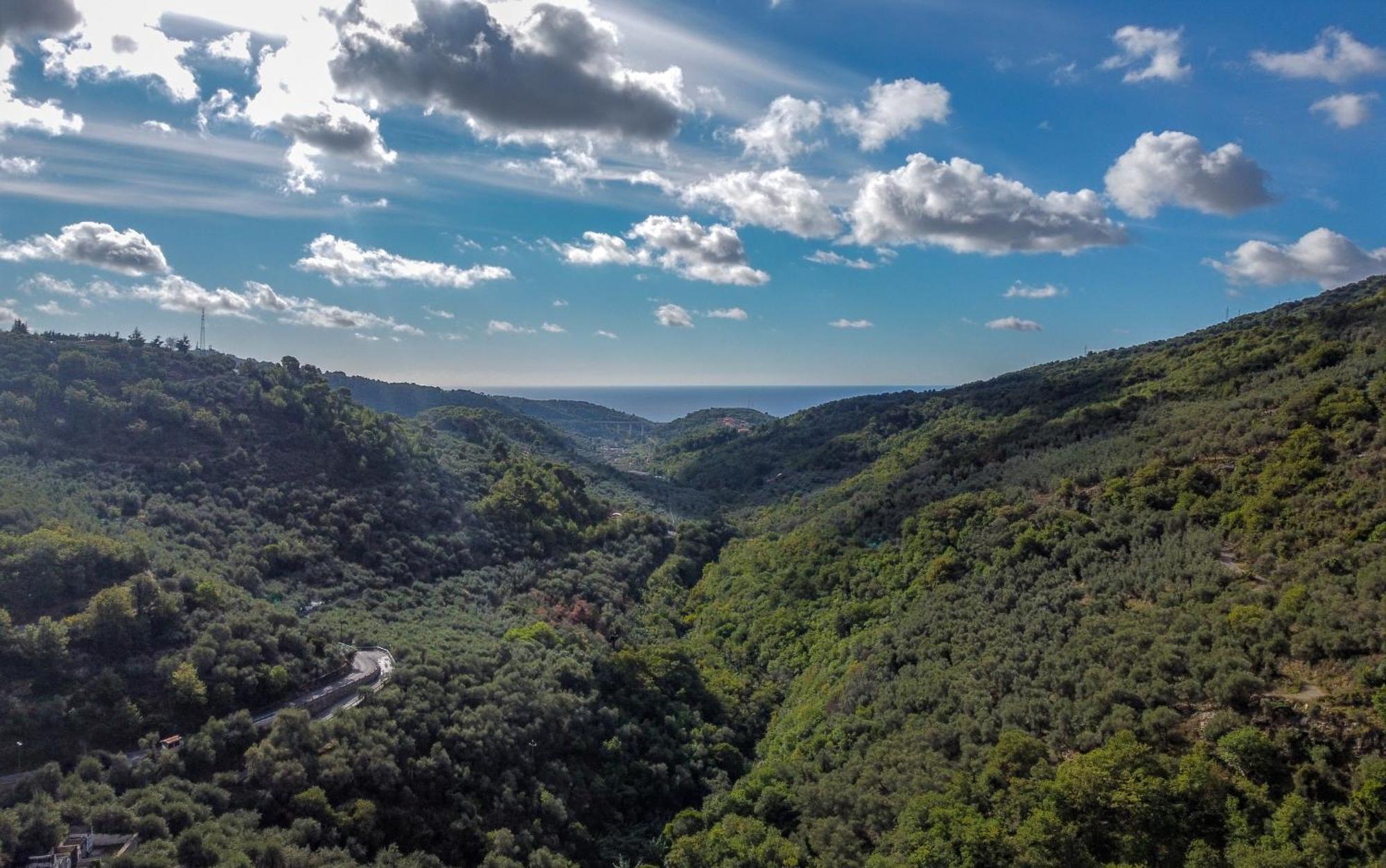 Agriturismo La Rocca Сан-Бартоломео-аль-Маре Экстерьер фото